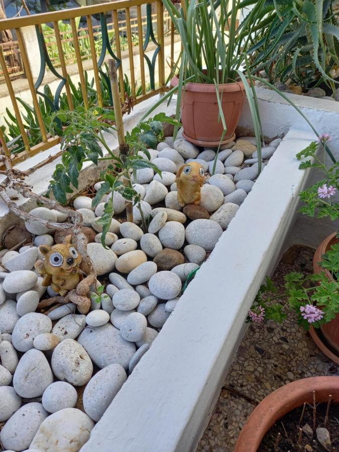 Alexandros Cosy House For Family Vacation Chrissi Akti Chania Exterior foto