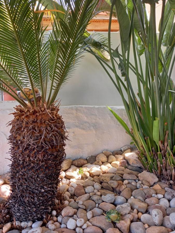 Alexandros Cosy House For Family Vacation Chrissi Akti Chania Exterior foto